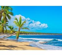 CORFOTO 4.6x2.5m Fabric Leaning Tall Coconut Palm Tree Pale White Sand Rolling Shiny Turquoise Waves Backdrop Caribbean Tropical Seaside Holiday Portrait Photography Background Photo Booth