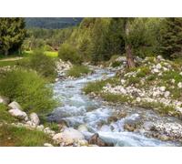 CORFOTO 5.2x3m Fabric Alpine Mountain Pine Forest Rapid Clear Creek Smooth Grey River Stones Green Bush Banks Countryside Hiking Landscape Backdrop Outdoor Nature Photography Background