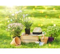 CORFOTO 5x3ft Garden Backdrop Gardening Tools Flowers Photo Background Rustic Theme Wedding Ceremony Decor Nature Scenery Planting Backdrop Portrait Photo Studio Prop