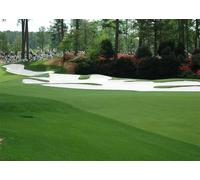 CORFOTO 6x3m Augusta National Golf Course Backdrop Fabric 16th Hole Azalea Pattern Masters Tournament Theme Background Decor for Golf Party Sports Event Photo Booth Prop