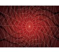 CORFOTO 6x3m Fabric Halloween White Spider Web Radial Line Grunge Speckled Dark Red Gradient Backdrop Spooky Holiday Photography Background for Halloween Themed Party Shoot