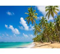 CORFOTO 6x3m Fabric Row of Tall Leaning Coconut Palm Trees White Sandy Shore Crystal Turquoise Sea Puffy White Cloud Sky Backdrop Tropical Summer Holiday Portrait Photography Background