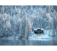 CORFOTO 6x3m Fusine Lakes Snow Landscape Backdrop Winter Snowy Wonderland Forest Photography Background White Trees House Travel Portrait Kids Adults Photo Booth
