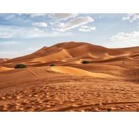 CORFOTO 6x3m Morocco Sahara Desert Backdrop Sahara Desert Backdrops Africa Morocco Desert Red Sand Dunes Landscape Background Travel Birthday Themed Party Decorations