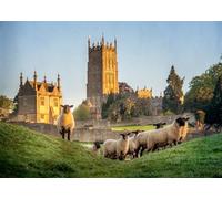 CORFOTO 6x3m St. James'Church Backdrop Cotswold Sheep Photo Background English Christian Summer Field Scene Party Decorations Religious Belief Church Decor Photo Booth Studio Props