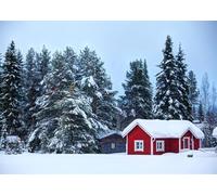 CORFOTO 6x3m Winter Forest Backdrop Snowy Landscape Photography Background Red House White Snow Woodland Photo Outdoor Portrait Studio Photo Booth Props