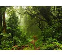 CORFOTO 6x4ft Fabric Jungle Rainforest Backdrop Nepal Subtropical Forest Background Tropical Rainforest Birthday Backdrop Forest Backdrop Photoshoot for Kids Adult Portrait Hiking Wedding Party Banner