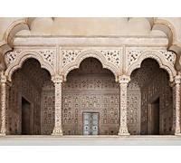 CORFOTO 8x6ft Fabric Agra Red Fort Backdrop Asia India Islamic Carved Architecture Arche Doors Background Asian Indian Theme Travel Party Decorations Photo Booth Studios Prop Wallpaper