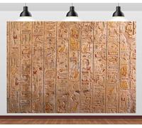 CORFOTO 8x6ft Fabric Egypt Hieroglyphic Photo Background Egyptian Decor Ancient Egyptian Mythology Backdrop Ancient Egyptian Mural Backdrop Party Decor Photo Shoot Studio Props