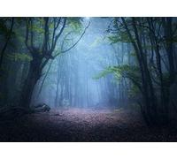 CORFOTO Dark Foggy Forest Backdrop Enchanted Autumn Forest Old Trees Landscape Green Leaves Blue Fog Nature Background Magic Picture for Birthday Party Decorations YouTube Portrait Photo Studio