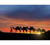 CORFOTO Fabric 1.5x1.2m Desert Camel Caravan Backdrop Sahara Sunset Silhouette Camel Train Landscape Photography Background for Travel Adventure Themed Party Photo Props