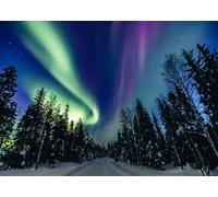 CORFOTO Fabric 1.8x1.2m Northern Lights Forest Backdrop Vibrant Aurora Borealis Over Snowy Pine Trees and Starry Sky Photography Background for Arctic Nature Themed Party Photo Props