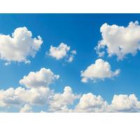 CORFOTO Fabric 2.5x1.8m (8x6FT) Blue Sky Clouds Backdrop Bright Summer Day Scenic View Photography Background for Birthday Party Portrait Studio Kids Adults