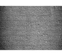 CORFOTO Fabric 2.5x1.8m Ancient Egyptian Hieroglyphs Backdrop Carved Stone Wall with Pharaoh Inscriptions Photography Background for Egyptian History Themed Party Photo Props