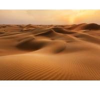 CORFOTO Fabric 2.7x1.8m Golden Desert Dunes Backdrop Sunlit Sand Waves with Wind Patterns at Sunset Photography Background for Sahara and Desert Themed Party Photo Props