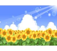 CORFOTO Fabric 2.7x1.8m Sunflower Field Backdrop Dense Sunflower Blue Sky Sunbeam Nature Landscape Photography Background for Summer Kids Birthday Party Photo Booth Props