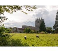 CORFOTO Fabric 3.5x2.5m Gothic Church Meadow Backdrop Historic Medieval Abbey with Grazing Sheep in Countryside Field Photography Background for European Village Themed Party Photo Props
