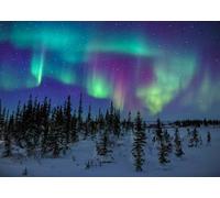 CORFOTO Fabric 3.5x2.5m Northern Lights Winter Forest Backdrop Aurora Borealis Over Snowy Pine Trees Photography Background for Arctic Nature Themed Party Photo Props