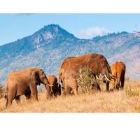 CORFOTO Fabric 4.5x2.5m African Elephants Backdrop Savanna Mountain Wildlife Scene Photography Background for Safari Adventure Kids Birthday Party Photo Props