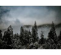 CORFOTO Fabric 4.5x2.5m Misty Snowy Mountain Forest Backdrop Foggy Pine Trees Winter Landscape Scene Photography Background for Moody Wedding Adventure Party Photo Props