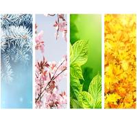 CORFOTO Fabric 4.5x3m Four Seasons Collage Backdrop Winter Spring Summer Autumn Photography Background for Nature Theme Party Decorations Seasonal Photo Shoot Props