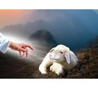 CORFOTO Fabric 6x3m Divine Lamb Backdrop Guiding Hand Photography Background for Religious Theme Party Decorations Spiritual Photo Shoot Props