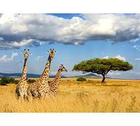 CORFOTO Fabric 7x5ft Kilimanjaro Giraffe Backdrop Africa Safari Background Jungle Giraffe Birthday African Themed Party Decorations Banner Photo Booth Props Zoo Wildlife Animals Backdrops