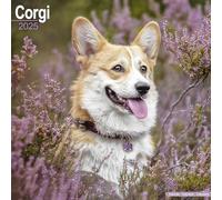 Corgi 2025 Square Wall Calendar | Dog Breed Calendar