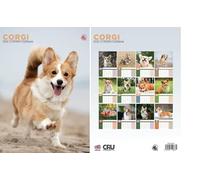 Corgi 2026 Calendar - A3 Size 30 x 42 cm, 12 Months of Great Photography