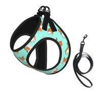Corgi Cute Dog Print Dog Harness and Leash Set,Breathable Adjustable Escape Proof Vest for Cats Dogs