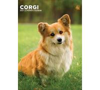 CORGI DOG 2027 Calendar, A3, Full Colour, Wirobound (CRU)