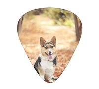 Corgi Dog Guitar Picks 12 Pcs Classical Triangle Guitar Plectrums Includes Thin, Medium & Heavy Gauges 3 Sizes for Bass Electric Acoustic Guitars Ukulele with Organizer Storage Box