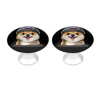 Corgi Dog in Military Russian Flag Hat Funny Drawer Handles 2 Pack Round Stainless Steel Cabinet Knobs Pulls 1.2"