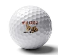 Corgi Dog Who Cares Golf Balls Rubber Practice for Training for Backyard Beginner