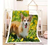 Corgi Flannel Blanket Cute Pets Throws for Sofas, Soft Cosy Plush Throw, Lightweight Fluffy Blanket for Bed, 3D Print Design Throw Adults Kids Bedroom Decor 80x90inch