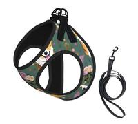 Corgi Floral Flowers printing Puppy Harness, Dog Harness and Leash Set, Soft Mesh Reflective Breathable Lightweight Vest-Style