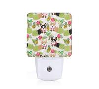 Corgi Hawaiian Summer Pineapple Led Night Light Plug in, Modern Nightlight Dusk to Dawn Sensor Wall Night Lights for Hallway Bedroom Stairway