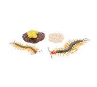 CORHAD 1 Set Centipede Growth Cycle Educational Realistic Centipede Life Cycle Figures for Learning Storytelling and Science Activities Enhance Imagination Creativity