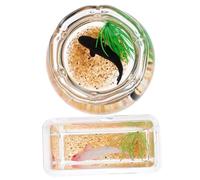 CORHAD 2pcs Scale Realistic Mini House Fish Tanks with Acrylic and Glass Decorative Goldfish Aquarium Accessories for Miniature Home Layout Random Color
