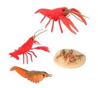 CORHAD Crayfish Life Cycle Model Educational Growing Cycle for Lightweight Simulated Animal Figurines for Cognitive Learning and Nature Experience