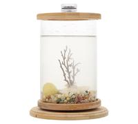 CORHAD Decorative Aquarium Tank with Led Iron Tree, Tempered Glass Desktop Fish Tank Bowl, Rotating Mini Ecosphere for Office and Home Aquarium Accessory