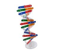 CORHAD Double Helix Dna Model Kit Educational Science for DIY Assembly Human Genes Structure Teaching Aid for Students Anatomy Learning Stem Tool Random Color