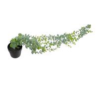 CORHAD Lifelike Artificial Hanging Wall Plant with Pot, Simulation Money Leaf Bonsai, Plastic Potted Plant Decor for Home, Office, Garden Wall Hanging