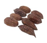 CORHAD Parrot Foraging Toy and Chew Toy Natural Dried Nut Set 8pcs Large Peanut Shape Healthy Bird Shredding for Budgie and Parakeet Cage Enrichment