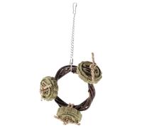 CORHAD Pet's Growing-up Bunny Chewing Toy Guinea Pig Chew Toys for Teeth Safe Material Reduces Loneliness