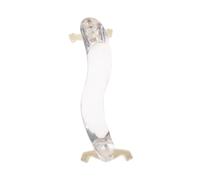 CORHAD Portable Acrylic Violin Shoulder Pad with Natural Style Easy-to-use Violin Shoulder Rest White Instrument Support for Practice and Performance