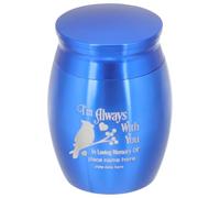 CORHAD Stainless Steel Parrot Cremated Box for Pet Ashes Hard Structure and Lightweight Design, Easy to Use Bird Cremation Tank Suitable for Memorial Purposes, Blue Minimalist Style Urn