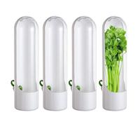 Coriander Keeper - Fresh Coriander Container, Saver | 4-Piece Salad Kitchen Organiser for Rosemary, Parsley and Thyme, Keeps Fresh for Weeks