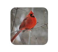 Cork Coaster - Cardinal Red on Branch Bird Wild Life Snow Winter - 1 Unit (95 x 95 mm)