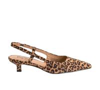 Corkys Footwear Hey Girl Womens Kit N Caboodle Slingback Kitten Heel - Pointed Toe Dress Heel - 2 Inch Heel - Elastic Slingback Strap - Lightly Padded Insole - Chic Stylish Shoe, Leopard, 4.5 UK